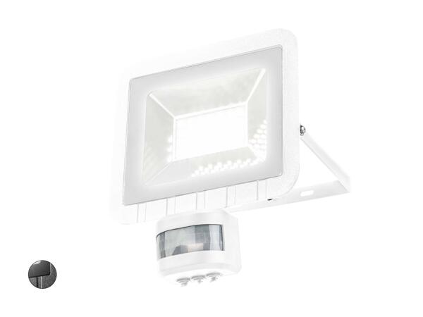 Projecteur extérieur à LED
