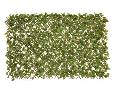 Expanding Artificial Screen