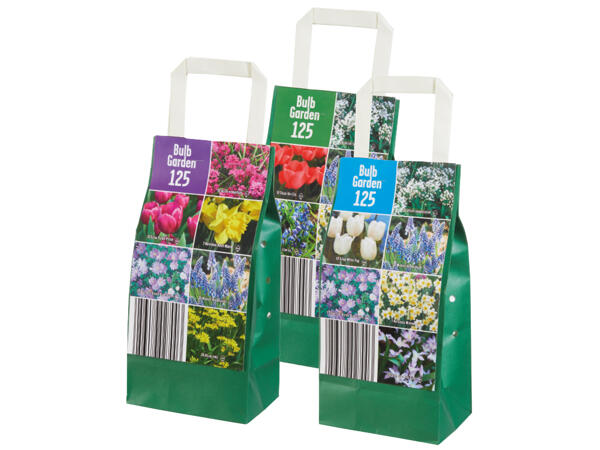 Frühjahrsblumenzwiebel im Papiersackerl