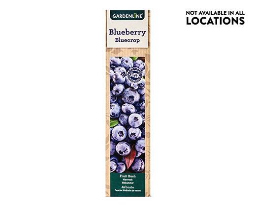 Gardenline 
 Berry Bush Assorted Varieties