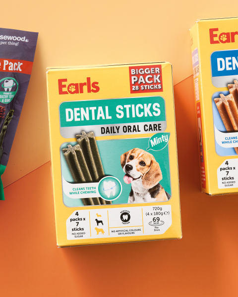 Earls Minty Dental Sticks 28 Pack