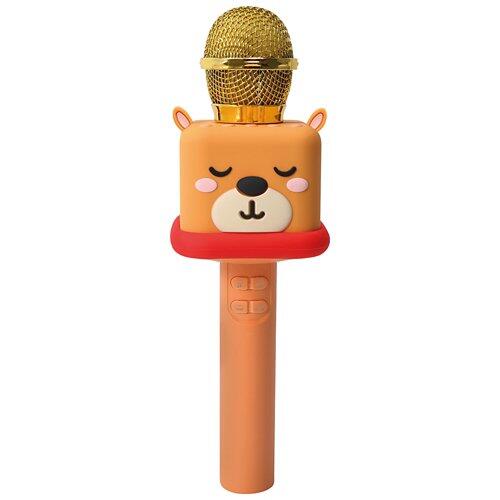 BAUHN Micro de karaoké pour enfants