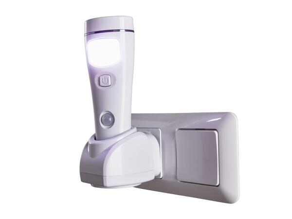 Multi-Function LED Light
