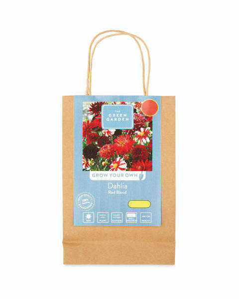 Colour Blends Spring Flower Mix