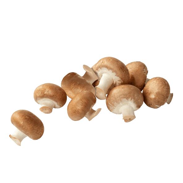 Kastanienpilze XXL
