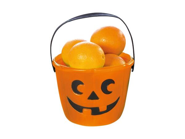 Premier Halloween Bucket
