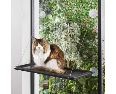 Cat Window Bed