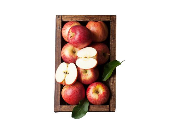 Äpple röd, Envy