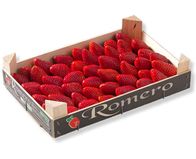 Fraises Premium