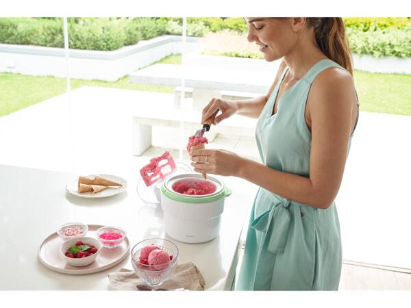 Ice cream maker