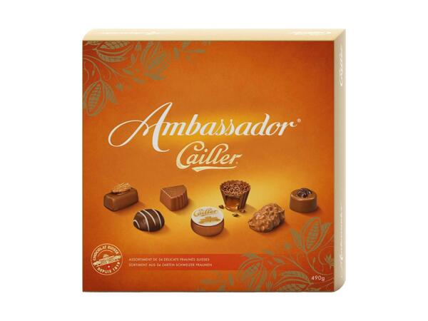 Ambassador Cailler