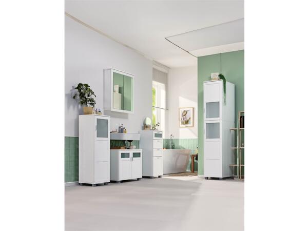 Bathroom Cabinet with Door