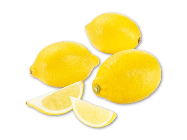 Økologiske citroner