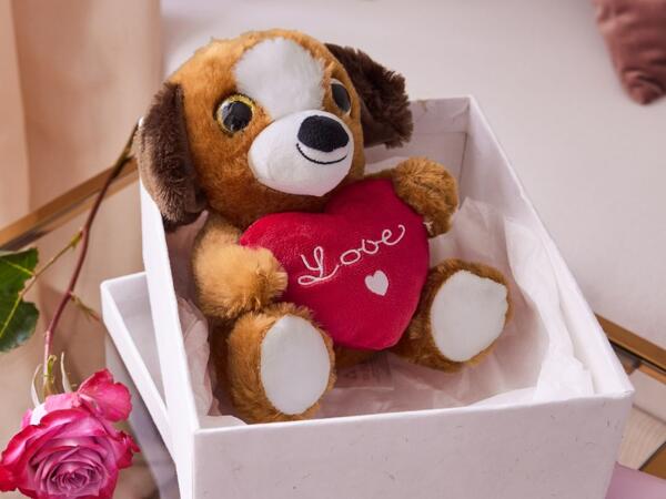 Valentines Soft Toy
