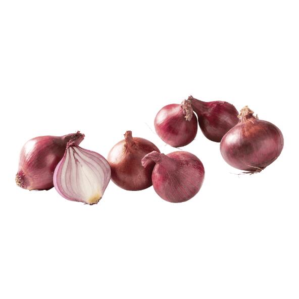 Rode uien