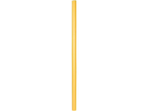 Pool Noodle