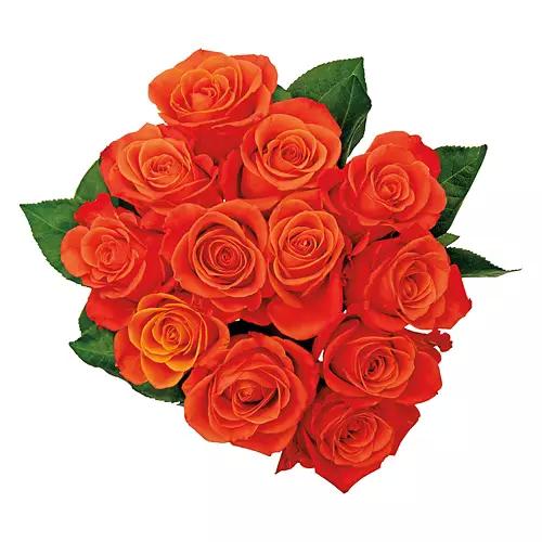 12 Roses Bouquet - Assorted Colors