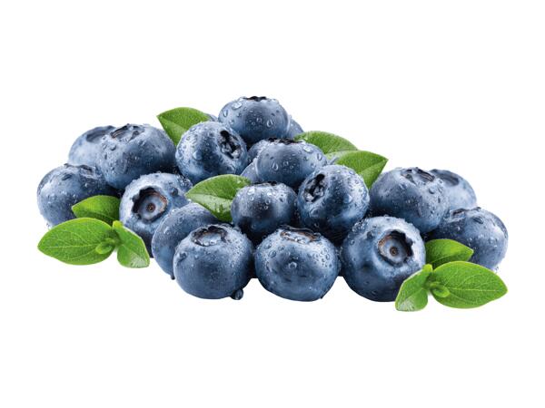 Bio Heidelbeeren