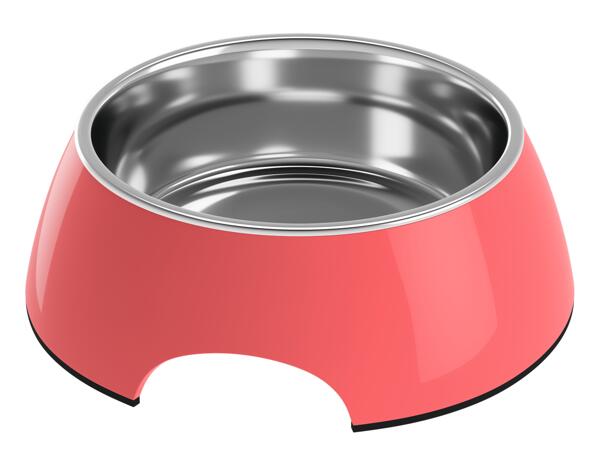 Food and Water Bowls/ Feeding Mat
