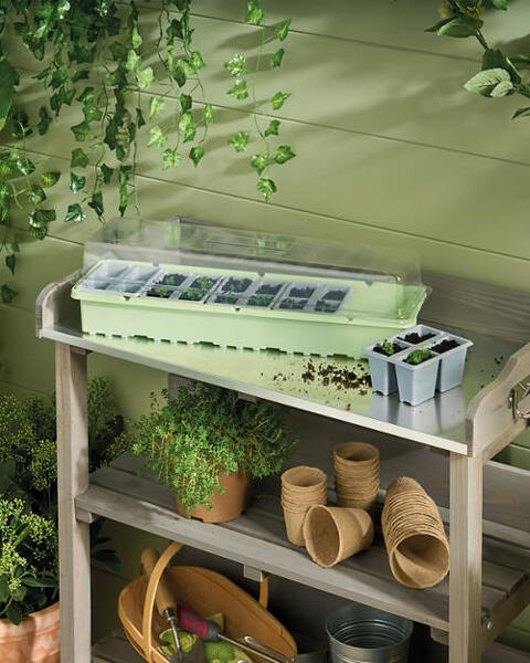 Windowsill Greenhouse