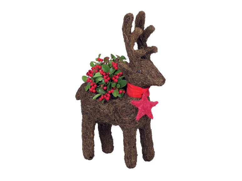 Christmas Reindeer Planter