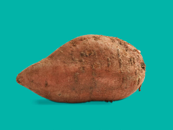 Sweet Potato