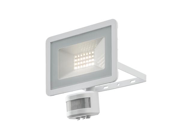24W LED Outdoor Light