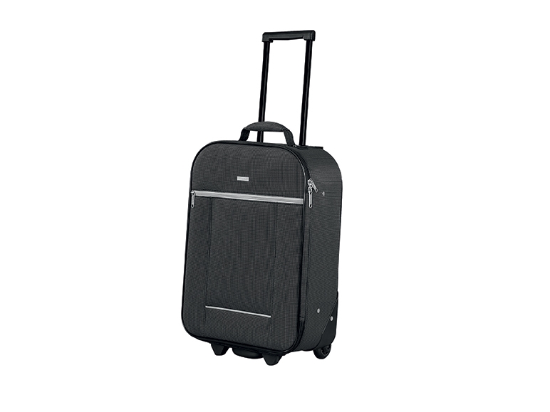 Trolley Travel Case
