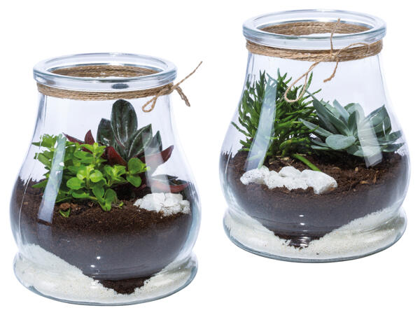 Mini Garten Maritim