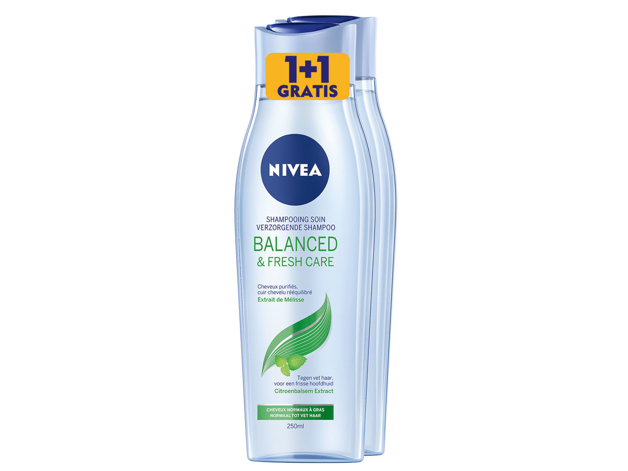 Shampoo