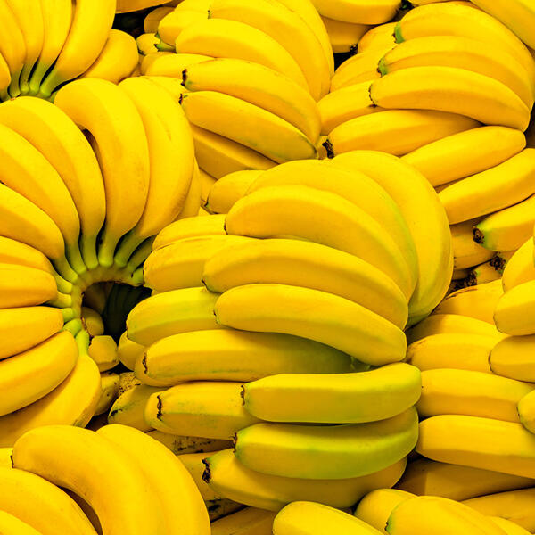 Bio Bananen