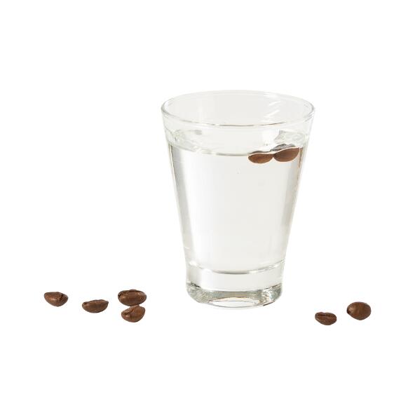 Sambuca