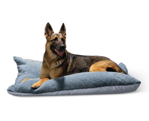 Heart to Tail
XL Pillow Pet Bed