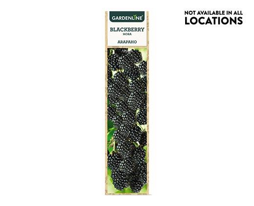 Gardenline
Berry Bush Assorted Varieties