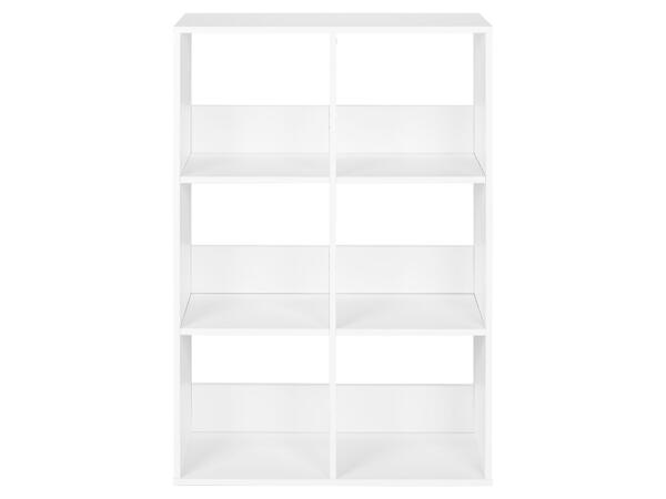 Shelving Unit With 6 Compartments