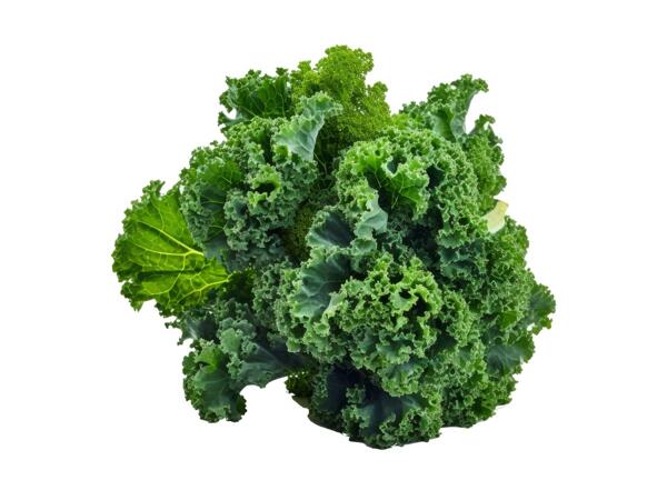 Curly Kale