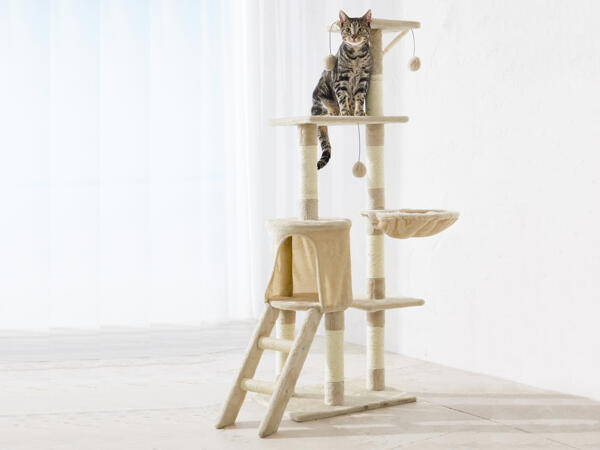 Arbre à chat