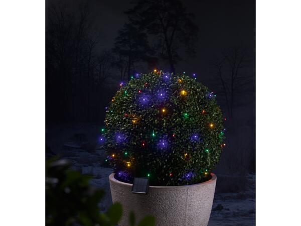 100 LED Solar Fairy Lights