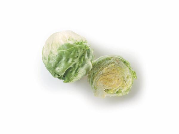 Lettuce iceberg