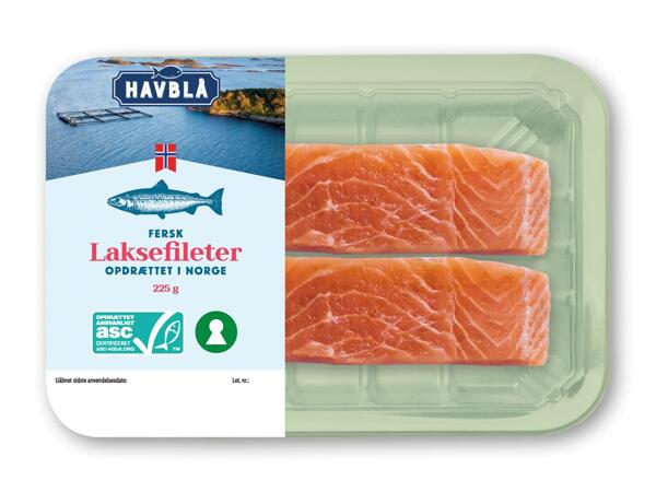 HAVBLÅ Lakse- eller rødspættefileter