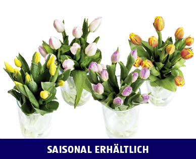 TULPEN
