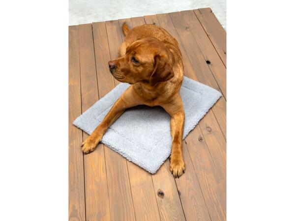 Pet Warming Blanket