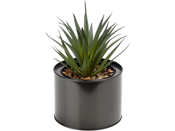 Artificial Plant Set