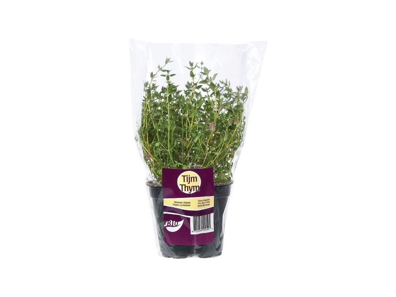 Herbes bio