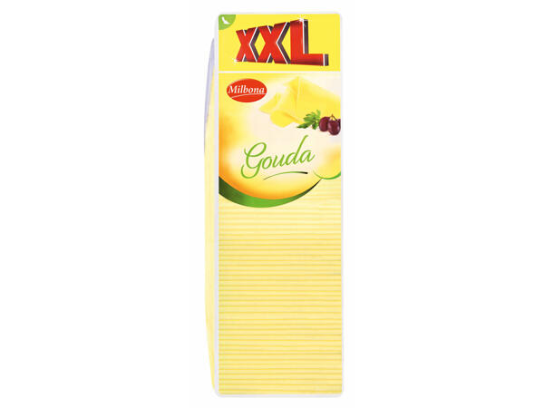 Gouda