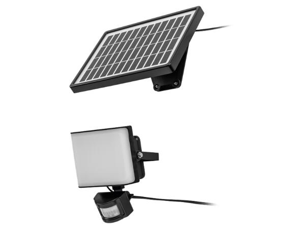 LED Solar Light with Motion Detector