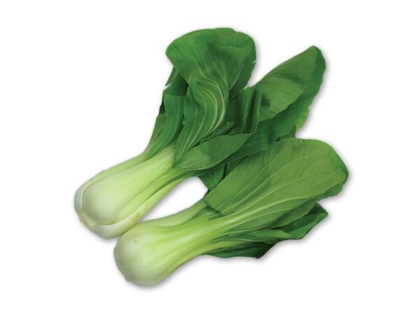 Pak choi