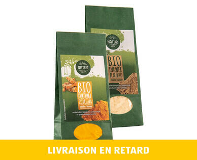 NATURE ACTIVE BIO 
 CURCUMA/GINGEMBRE BIO