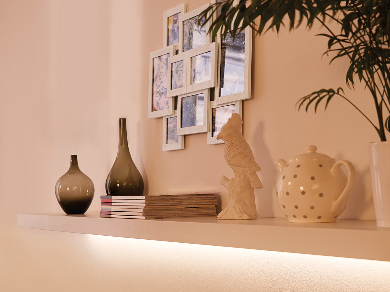 Livarno Lux LED Rope Light1