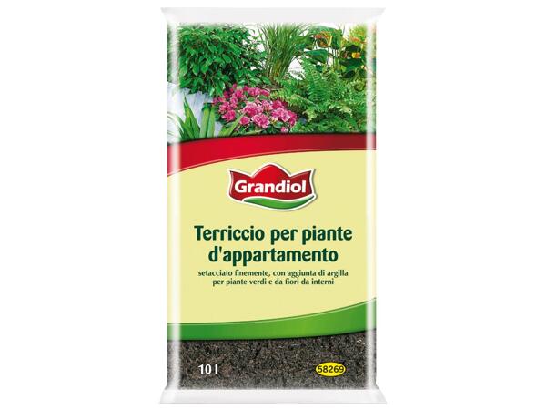 Houseplants Soil